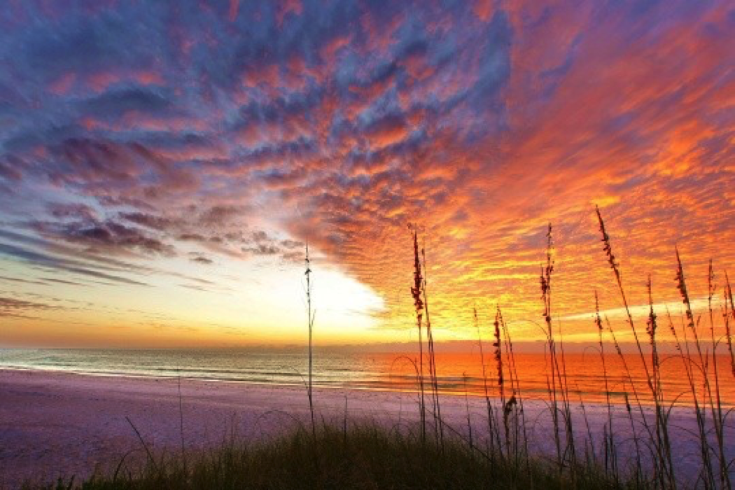Fall in Love with Florida’s West Coast in Sarasota